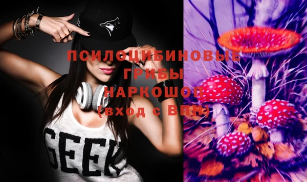 кокс Арсеньев