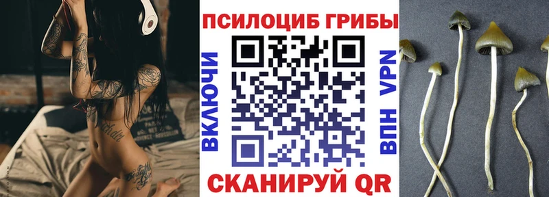 дарк нет Telegram  Прохладный  hydra онион  Галлюциногенные грибы мицелий  магазин  наркотиков 