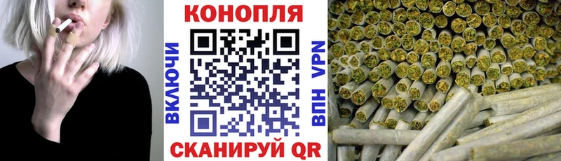 Бошки марихуана план  продажа наркотиков  Прохладный 